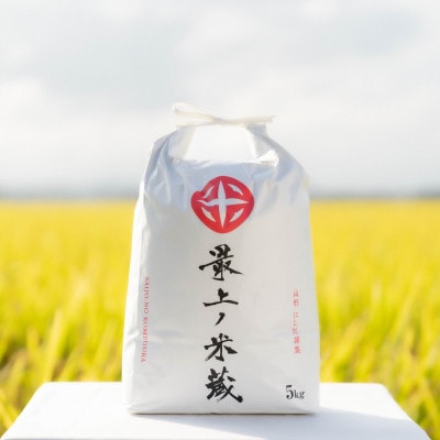 [令和7年産]【最上ノ米蔵】山形県産「コシヒカリ」精米　5kg×2袋　計10kg