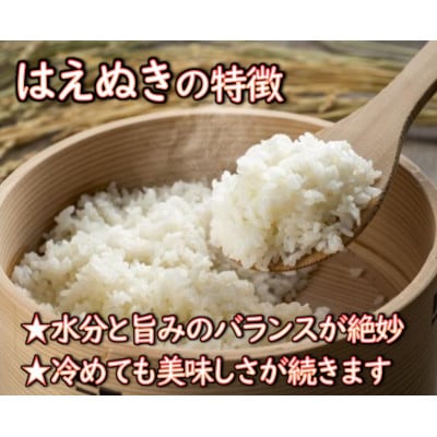 【令和6年産】2024年10月発送　はえぬき10kg 山形県産