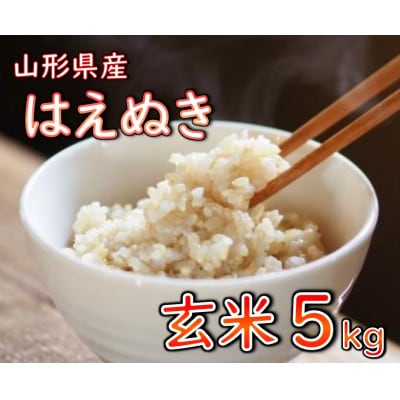 【令和6年産】はえぬき(玄米)5kg　山形県産