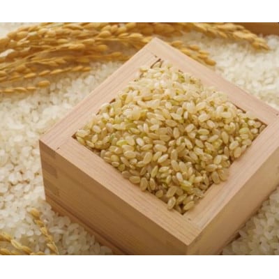 【毎月定期便】はえぬき 玄米 5kg　全3回