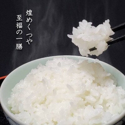 【毎月定期便】米の匠みのりガーデン/最高金賞・世界最高米・金賞受賞米【受賞コシヒカリ】5kg　全6回