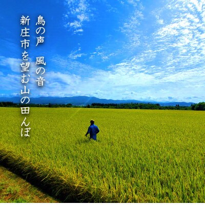 【毎月定期便】米の匠みのりガーデン/最高金賞・世界最高米・金賞受賞米【最高峰ブレンド】5kg全6回