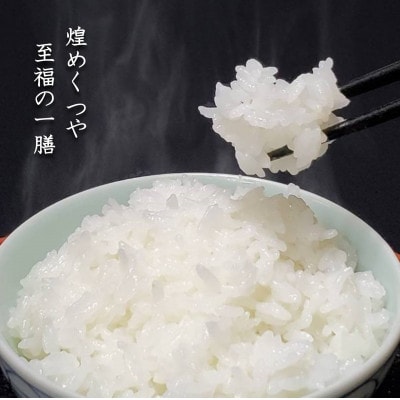 【毎月定期便】米の匠みのりガーデン/最高金賞・世界最高米・金賞受賞米【最高峰ブレンド】5kg全6回