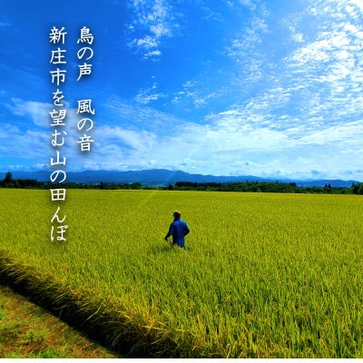 【毎月定期便】米の匠みのりガーデン/最高金賞・世界最高米・金賞受賞【 最高峰ブレンド】5kg全12回