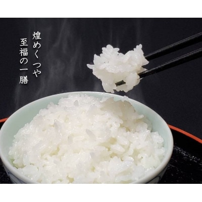 【毎月定期便】米の匠みのりガーデン/金賞受賞農家の【特上 雪若丸】5kg全12回