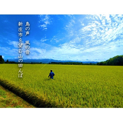 【毎月定期便】米の匠みのりガーデン/金賞受賞農家の【特上 雪若丸】5kg全12回