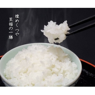 【毎月定期便】米の匠みのりガーデン/最高金賞・世界最高米・金賞受賞米【受賞コシヒカリ】5kg全6回