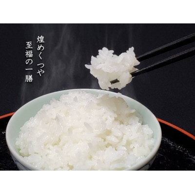 【毎月定期便】米の匠みのりガーデン/最高金賞・世界最高米・金賞受賞米【受賞コシヒカリ】5kg全12回