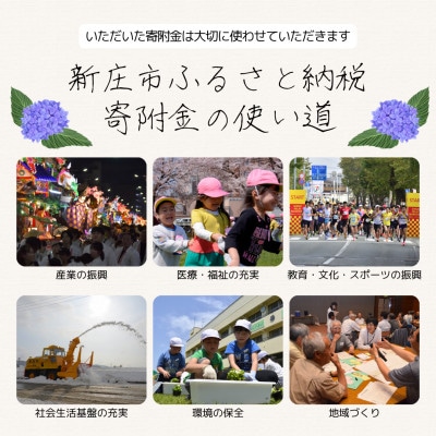 【返礼品なし】まつりと雪のふるさと新庄市　ふるさと応援寄附金(100,000円)