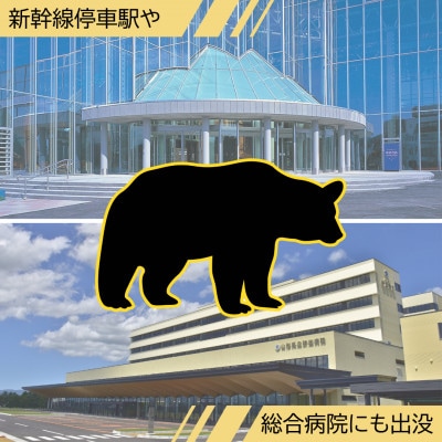 【返礼品なし】(クマ被害対策)地域住民を鳥獣被害から守りたい　寄附金1口5,000円分