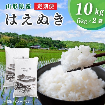 【毎月定期便】山形県産 はえぬき 精米 10kg(5kg×2袋)全3回