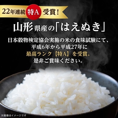 【毎月定期便】山形県産 はえぬき 精米 10kg(5kg×2袋)全3回