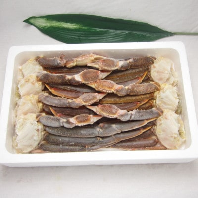 【2024年3月中旬発送】生ずわい蟹 5Lサイズ 3.0kg(6～8肩)【12】