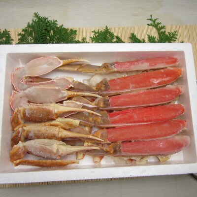 【2025年11月中旬発送】生ずわい蟹 カニ鍋セット1.0kg(カット済み)【14】