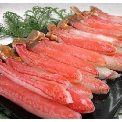 【2025年4月上旬発送】生ずわい蟹 カニしゃぶ用 棒肉1.0kg((20～25本)×2袋)
