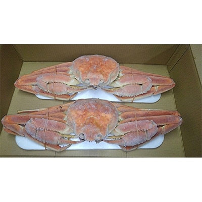姿ずわい蟹(ボイル済み) 2尾(1.5kg～1.7kg)【2】