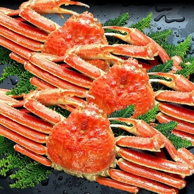 姿ずわい蟹(ボイル済み) 3尾(2.25kg～2.55kg)【3】
