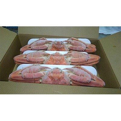 姿ずわい蟹(ボイル済み) 3尾(2.25kg～2.55kg)【3】