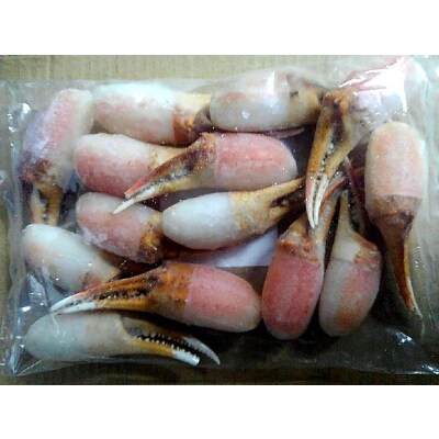 【2023年10月下旬発送】生ずわい蟹 カニしゃぶ用 爪肉1.0kg((8～25本)×2袋)【9】