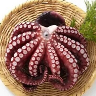大阪産 泉タコ ボイルたこ 600g お礼品詳細 ふるさと納税なら さとふる 大阪産 泉タコ ボイルたこ 600g お礼品詳細 ふるさと納税なら さとふる