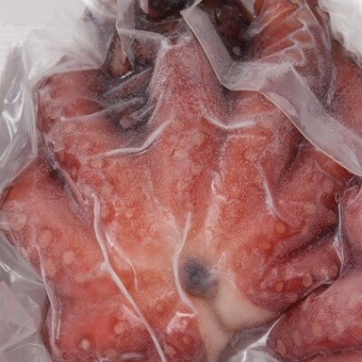 【2023年2月下旬発送】大阪産 泉タコ(ボイルたこ) 1.2kg