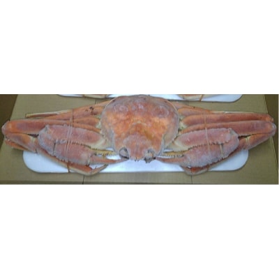 ボイル姿ずわい蟹 特大サイズ 1尾(750g～850g)【6】