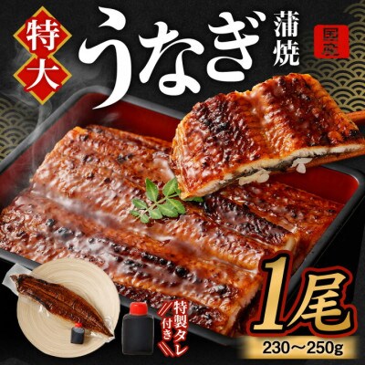 【2024年11月中旬発送】特大 「国産うなぎ蒲焼」1尾(230g～250g)と特製タレ1個セット