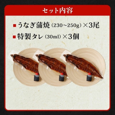 「国産うなぎ蒲焼」3尾(690g～750g)と特製タレ3個セット【年末年始にもオススメ】