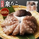 【2025年10月18日より順次発送】土用の辰「大阪産 泉タコ(生たこ) 650g」