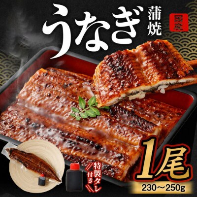 【2026年1月10日より順次発送】「国産うなぎ蒲焼」1尾(230～250g)と特製タレ1個セット