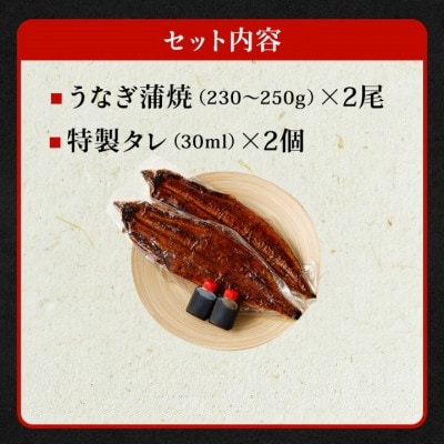 【2026年9月5日より順次発送】「国産うなぎ蒲焼」2尾(460～500g)【BBQにおすすめ】