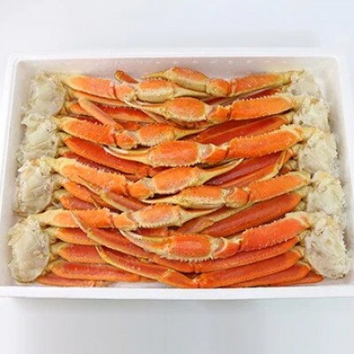 【2025年12月27日より順次発送】ボイルずわい蟹 4Lサイズ 3.0kg(7～9肩)【11】