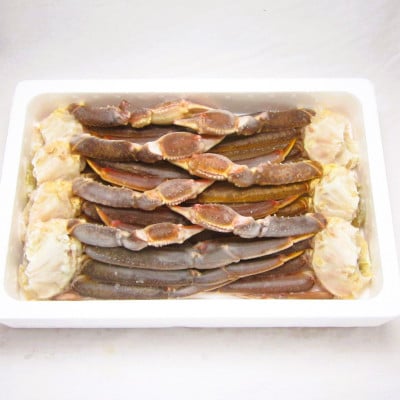 【2025年12月13日より順次発送】生ずわい蟹 5Lサイズ 3.0kg(6～8肩)【12】