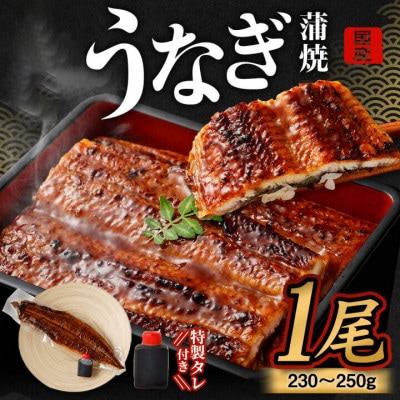 【2025年12月13日より順次発送】「国産うなぎ蒲焼」1尾(230～250g)と特製タレ1個セット