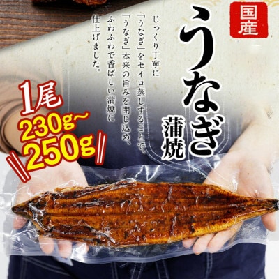 【2025年12月13日より順次発送】「国産うなぎ蒲焼」1尾(230～250g)と特製タレ1個セット