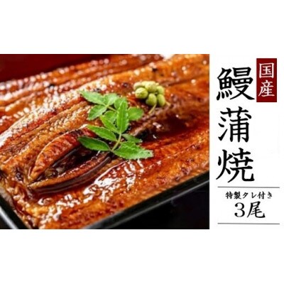 【2026年2月14日より順次発送】「国産うなぎ蒲焼」3尾(690～750g)と特製タレ3個セット