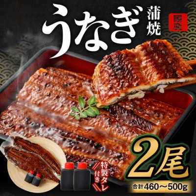 【2026年3月14日より順次発送】「国産うなぎ蒲焼」2尾(460～500g)と特製タレ2個セット