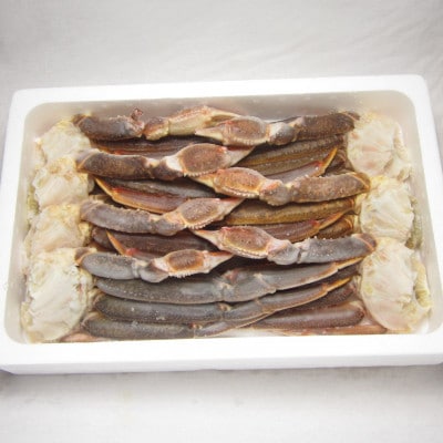 【2026年3月28日より順次発送】生ずわい蟹 5Lサイズ 3.0kg(6～8肩)【12】