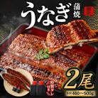 【2026年4月4日より順次発送】「国産うなぎ蒲焼」2尾(460～500g)と特製タレ2個セット