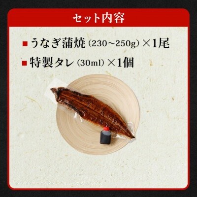 【2026年10月24日より順次発送】「国産うなぎ蒲焼」1尾(230～250g)