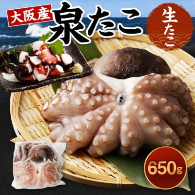 【2026年4月18日より順次発送】大阪産「泉タコ(生たこ)」650g(1杯～3杯)