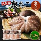 【2026年5月23日より順次発送】大阪産「泉タコ(生たこ)」1.3kg(1杯～3杯×2袋)