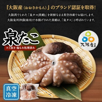 【2025年6月7日より順次発送】大阪産 泉タコ(生たこ)650gと茎わかめ佃煮180gのセット