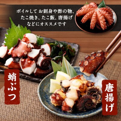 【2025年11月15日より順次発送】大阪産 泉タコ(生たこ)650gと茎わかめ佃煮180gのセット