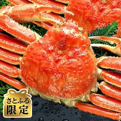 【さとふる限定】姿ずわい蟹(ボイル済み) 1尾(400g～450g)