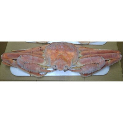 【さとふる限定】姿ずわい蟹(ボイル済み) 1尾(400g～450g)