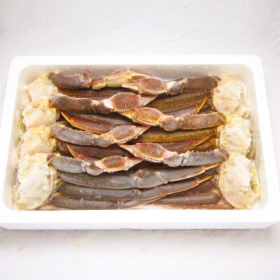 ■年末/年内発送【12月27日より順次発送】生ずわい蟹 5Lサイズ 3kg(6～8肩)
