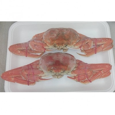 ボイル「姿ずわい蟹」2尾(400g～460g)