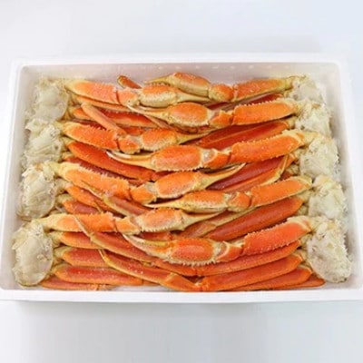■お歳暮/年内発送【12月20日より順次発送】ボイルずわい蟹 4Lサイズ 3kg(7～9肩)