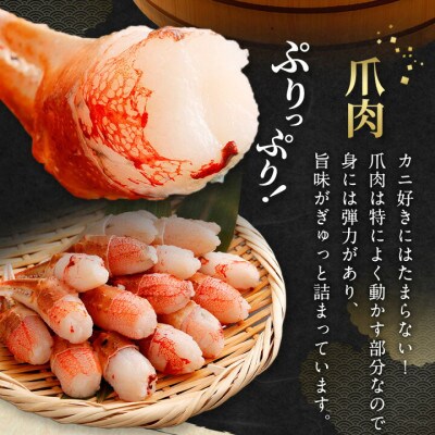 ■年内発送【12月31日より順次発送】生ずわい蟹 カニ爪肉(かにしゃぶ用) 500g(8～25本)